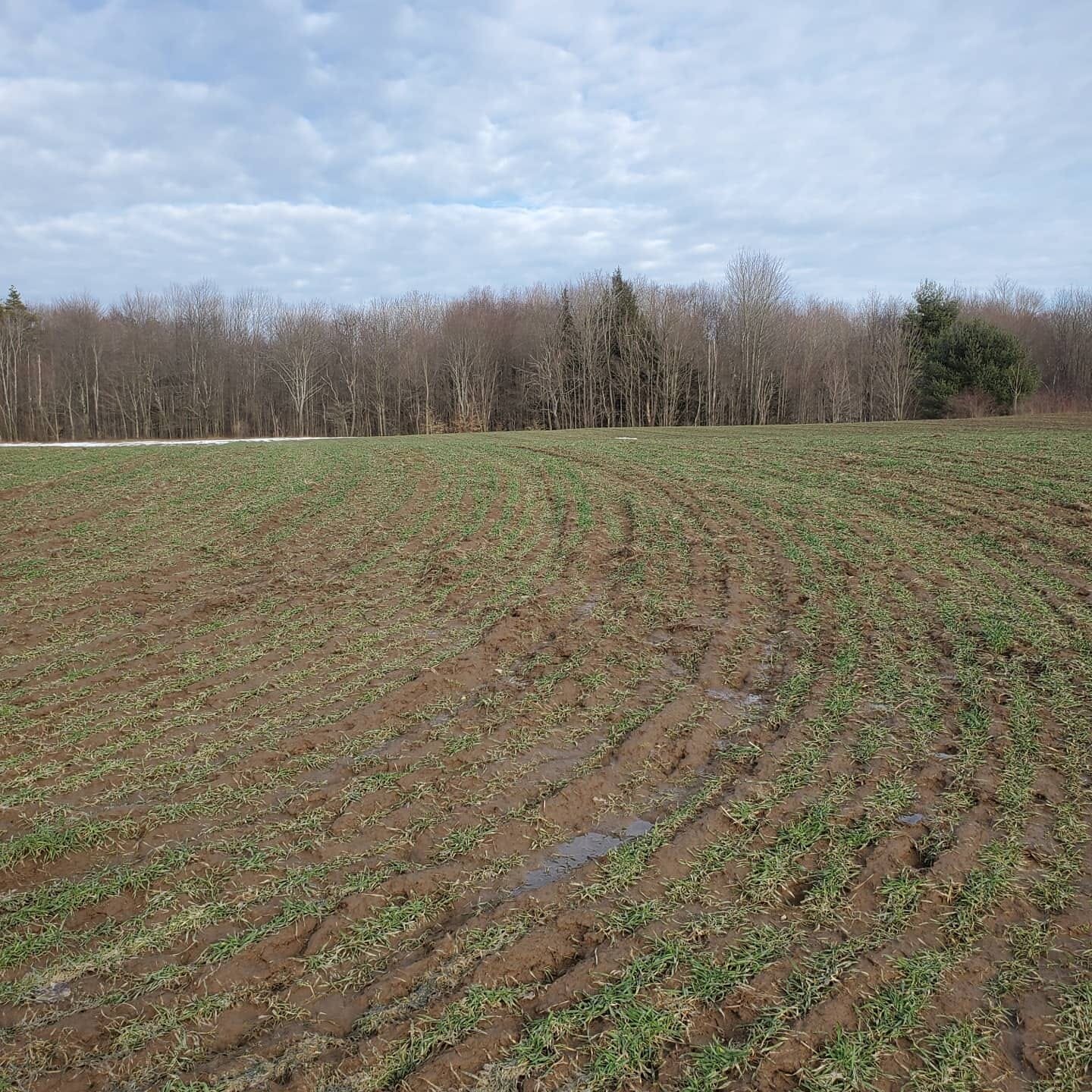 Grindstone Farm’s Season #40 Begins