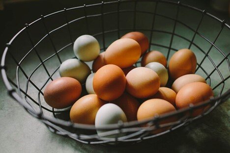 Grindstone+Farm+NY+-+Fresh+Eggs Image placeholder indicating a need for a photo, often used in design or content creation to signify missing visual content.